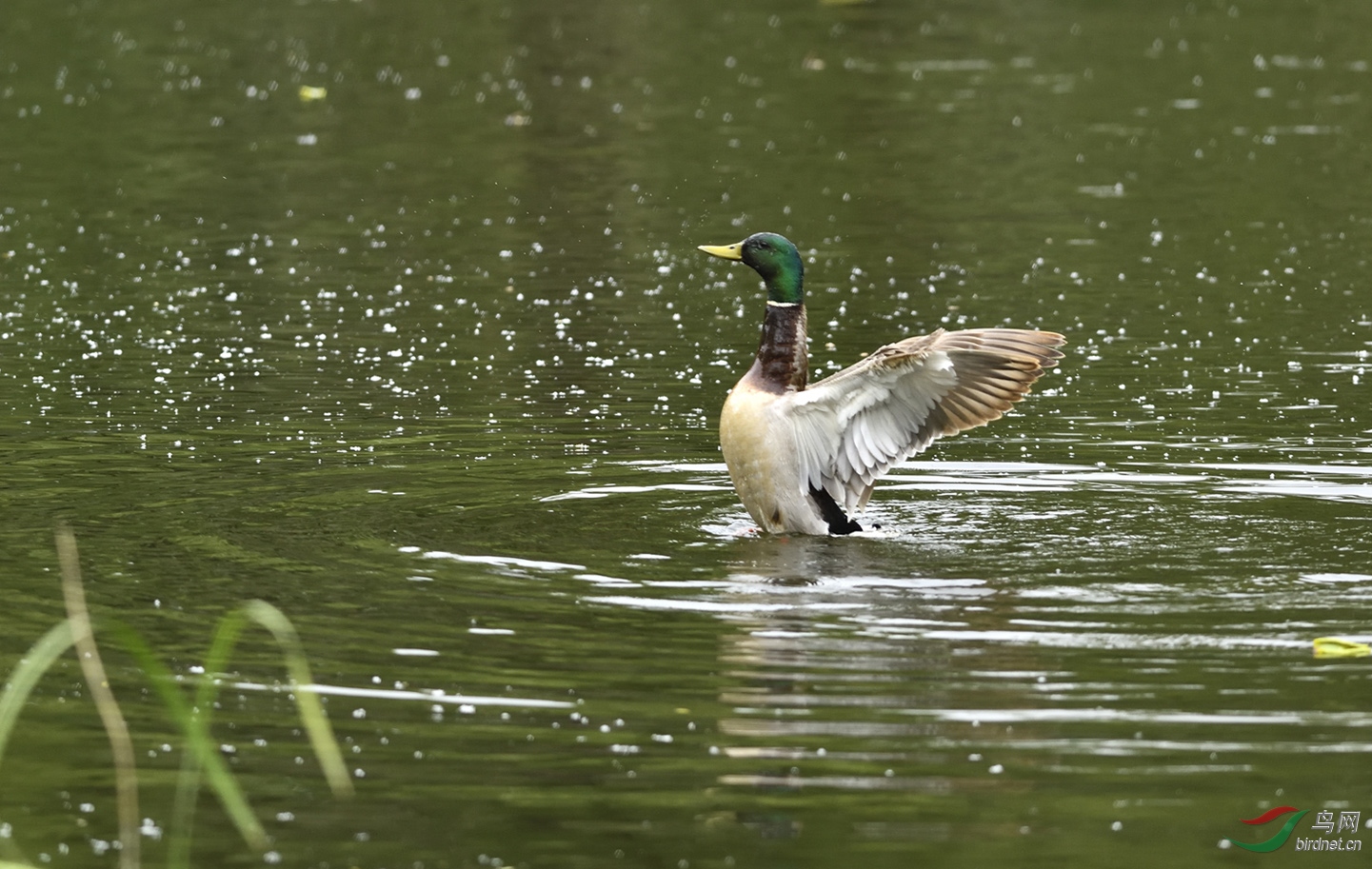 _DSC6558_00001-p-02.jpg