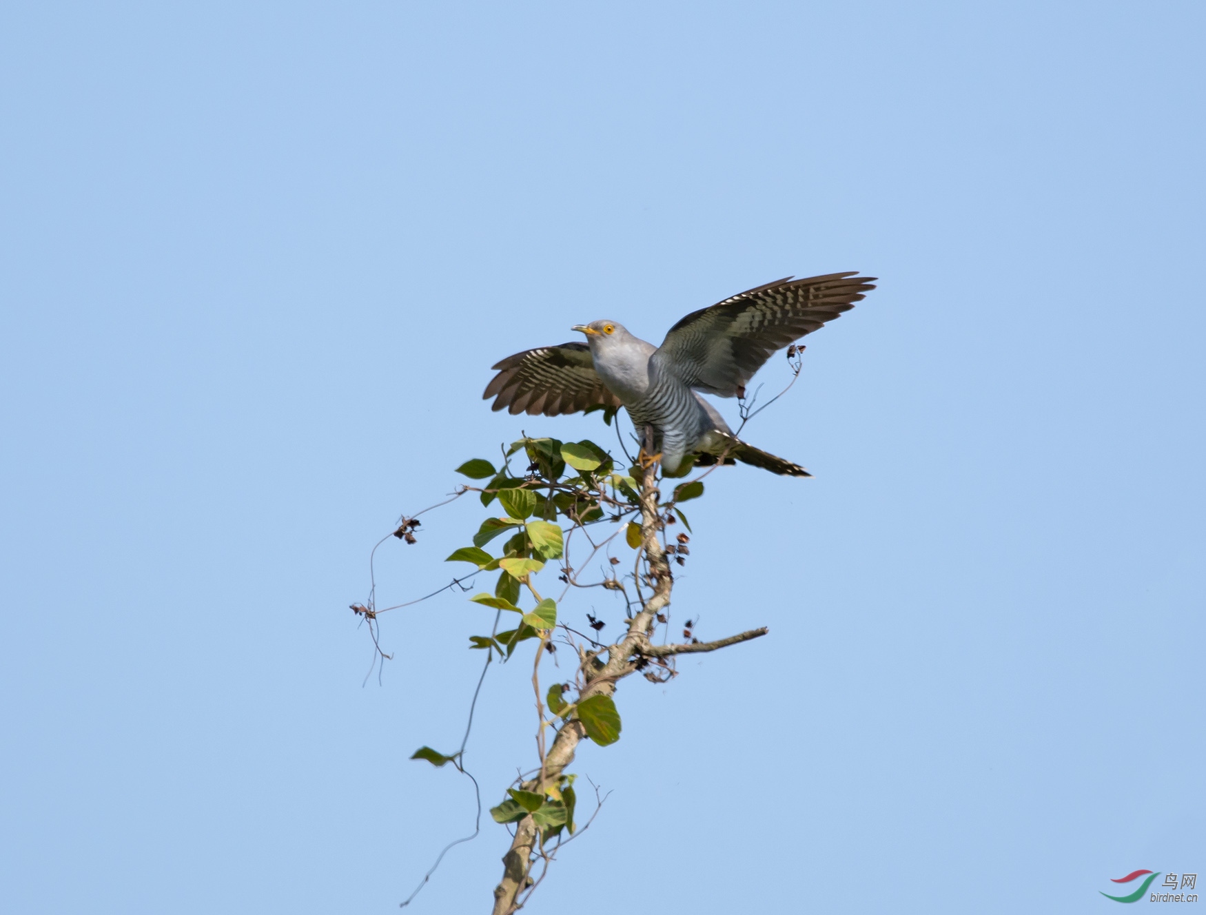_SC_5577.jpg