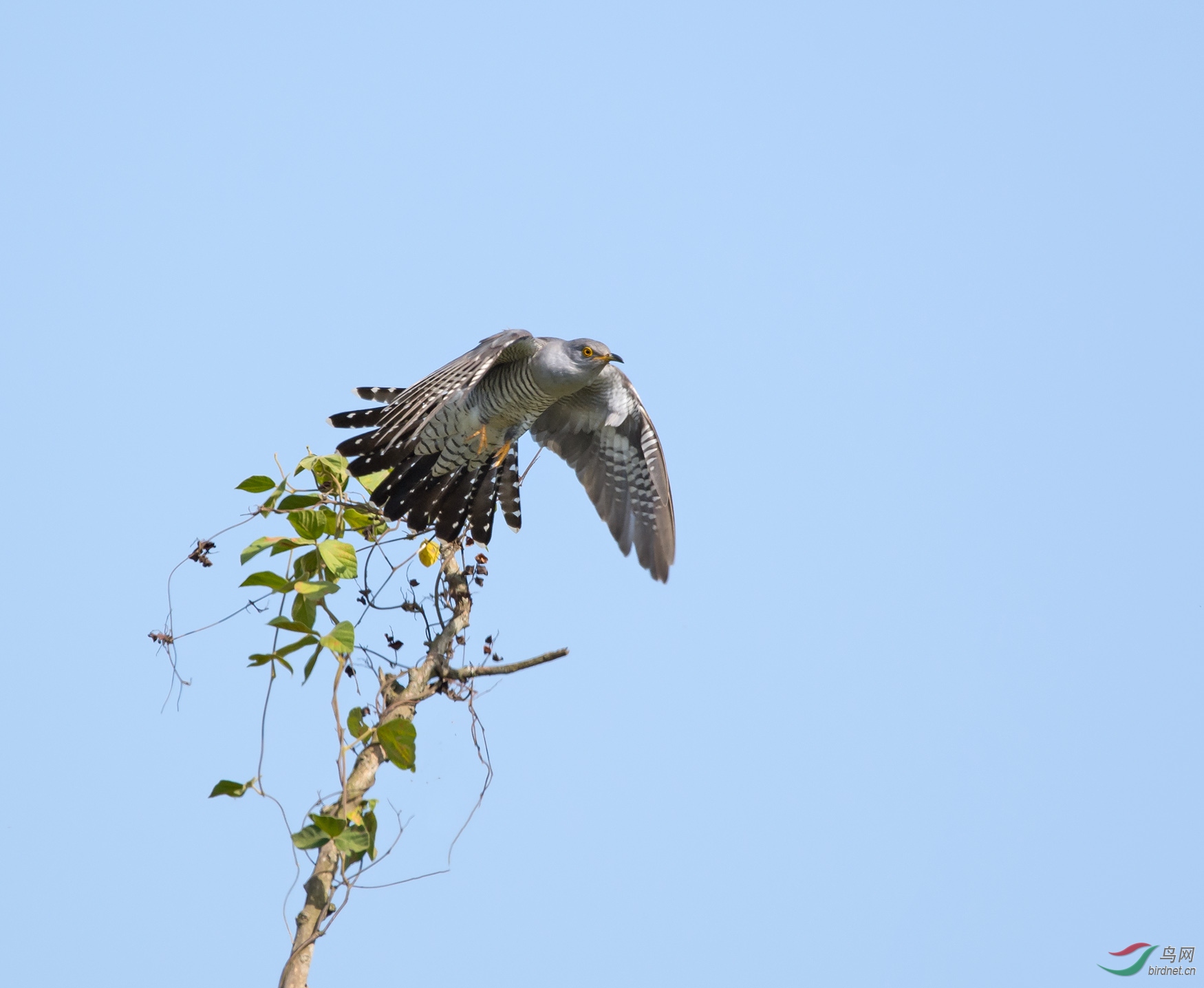_SC_5580.jpg