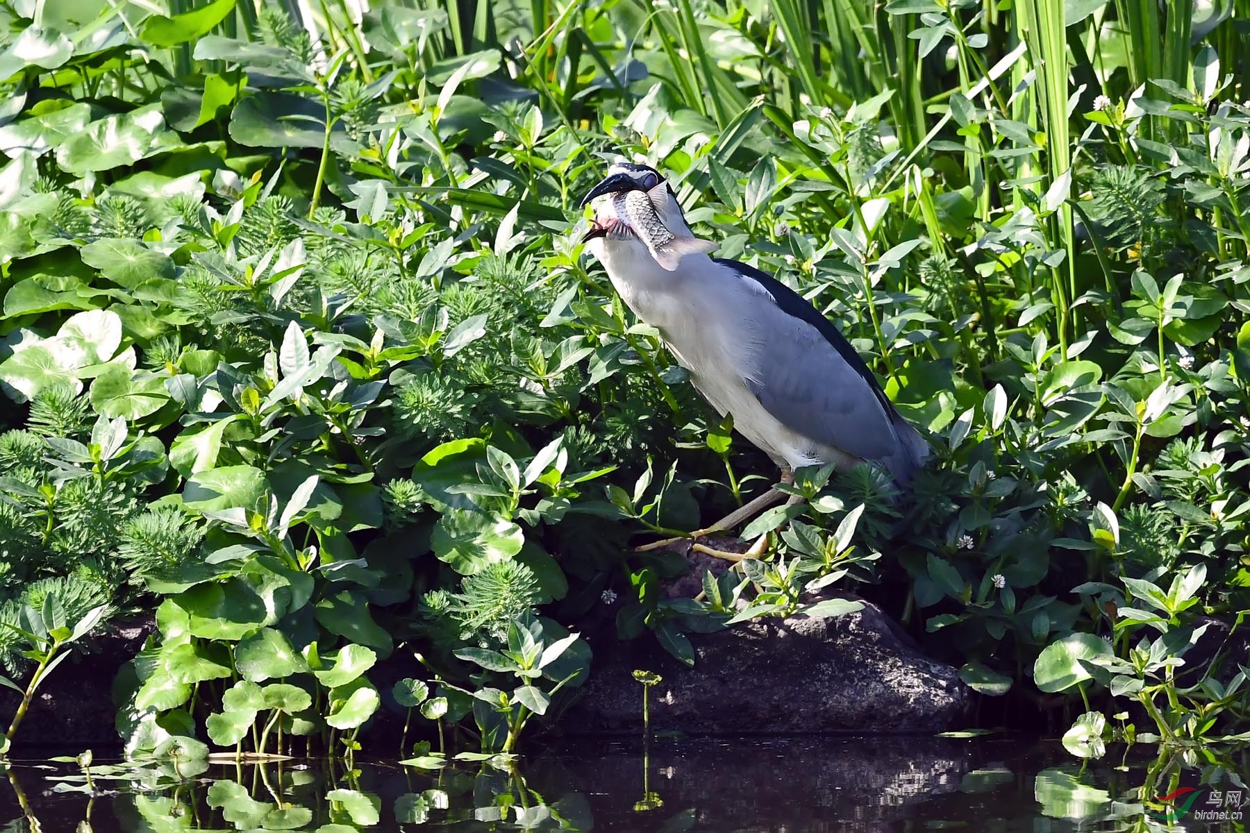 DSC_9212.jpg