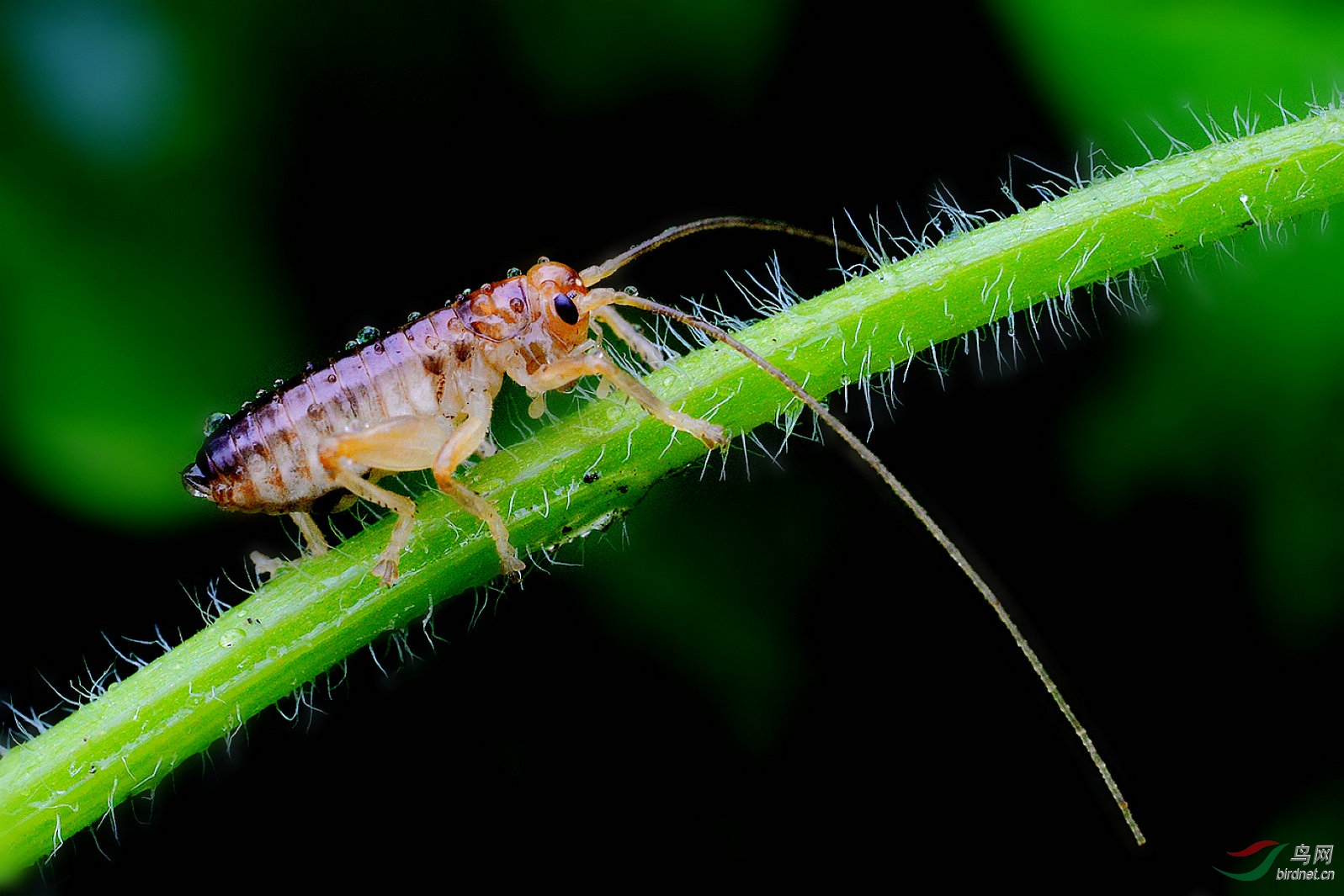 DSC_0170_����.jpg