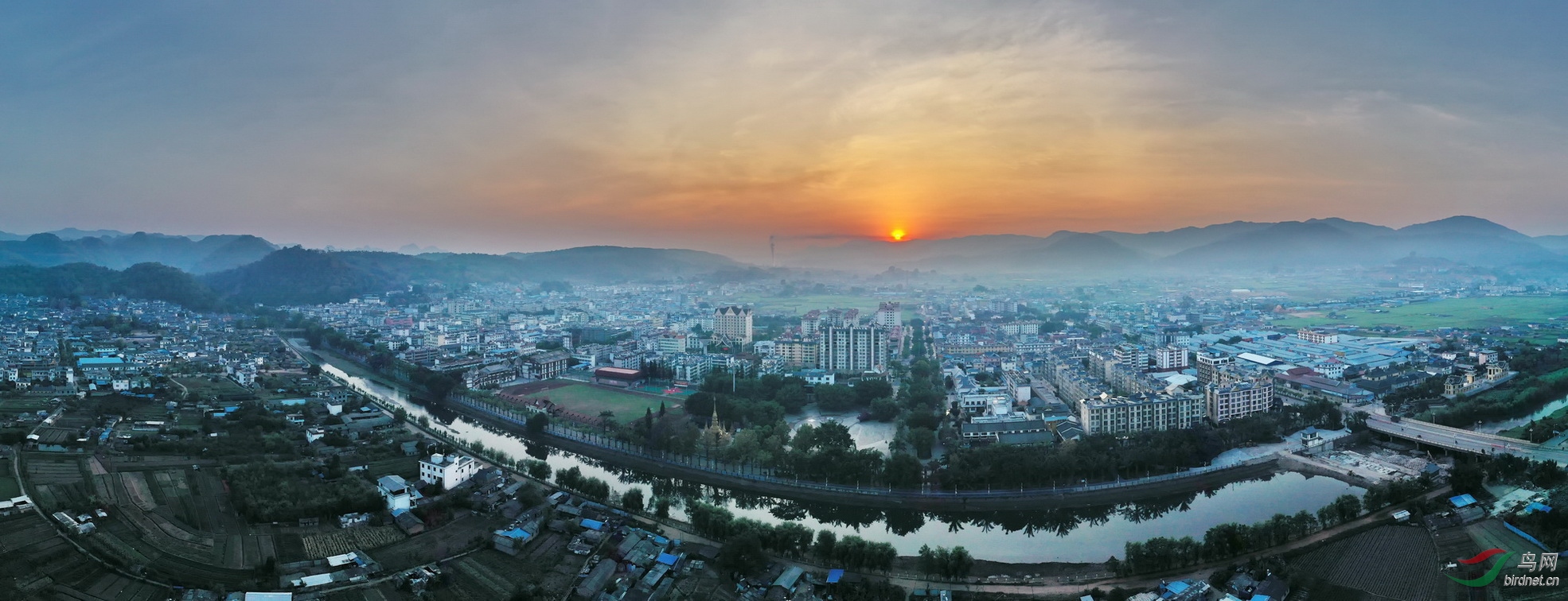 相约孟连——与黄胸织布鸟的约会