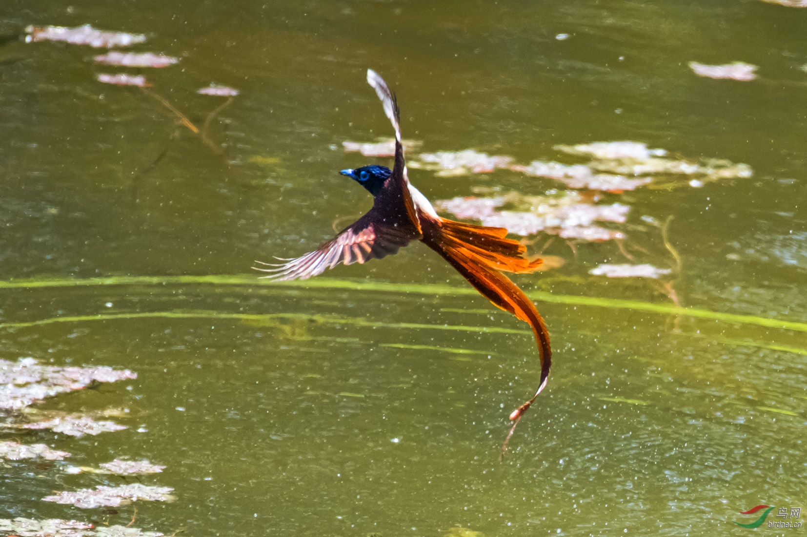 DSC_8297.jpg