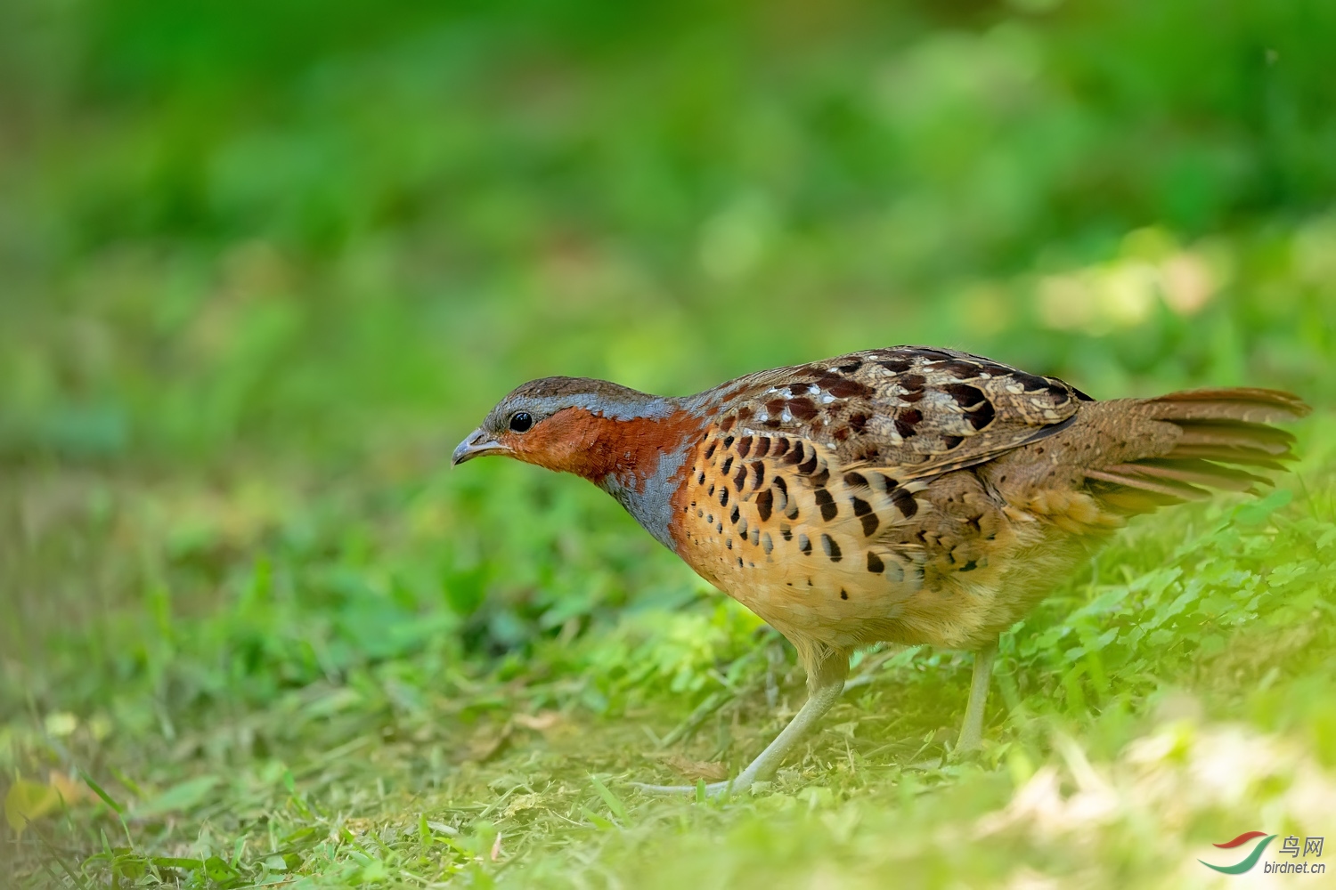 A9D09735a.jpg