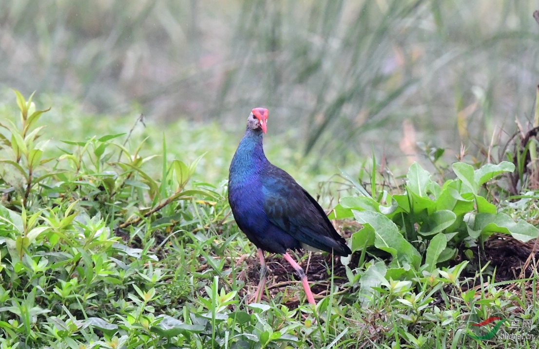 ���������谲������· ��ˮ�� (9).JPG