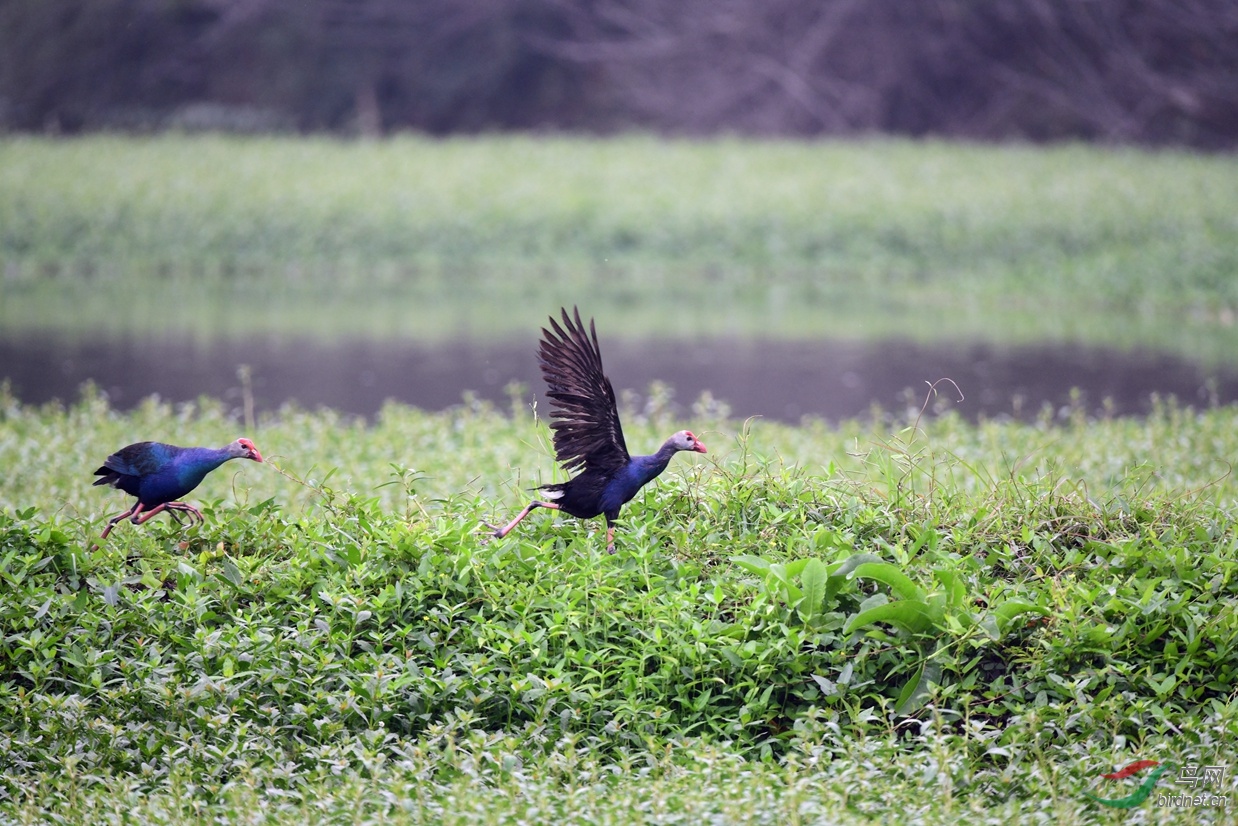 ���������谲������· ��ˮ�� (43).JPG