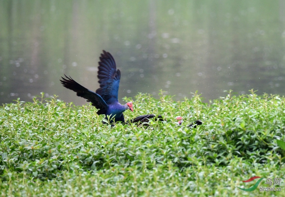 ���������谲������· ��ˮ�� (35).JPG