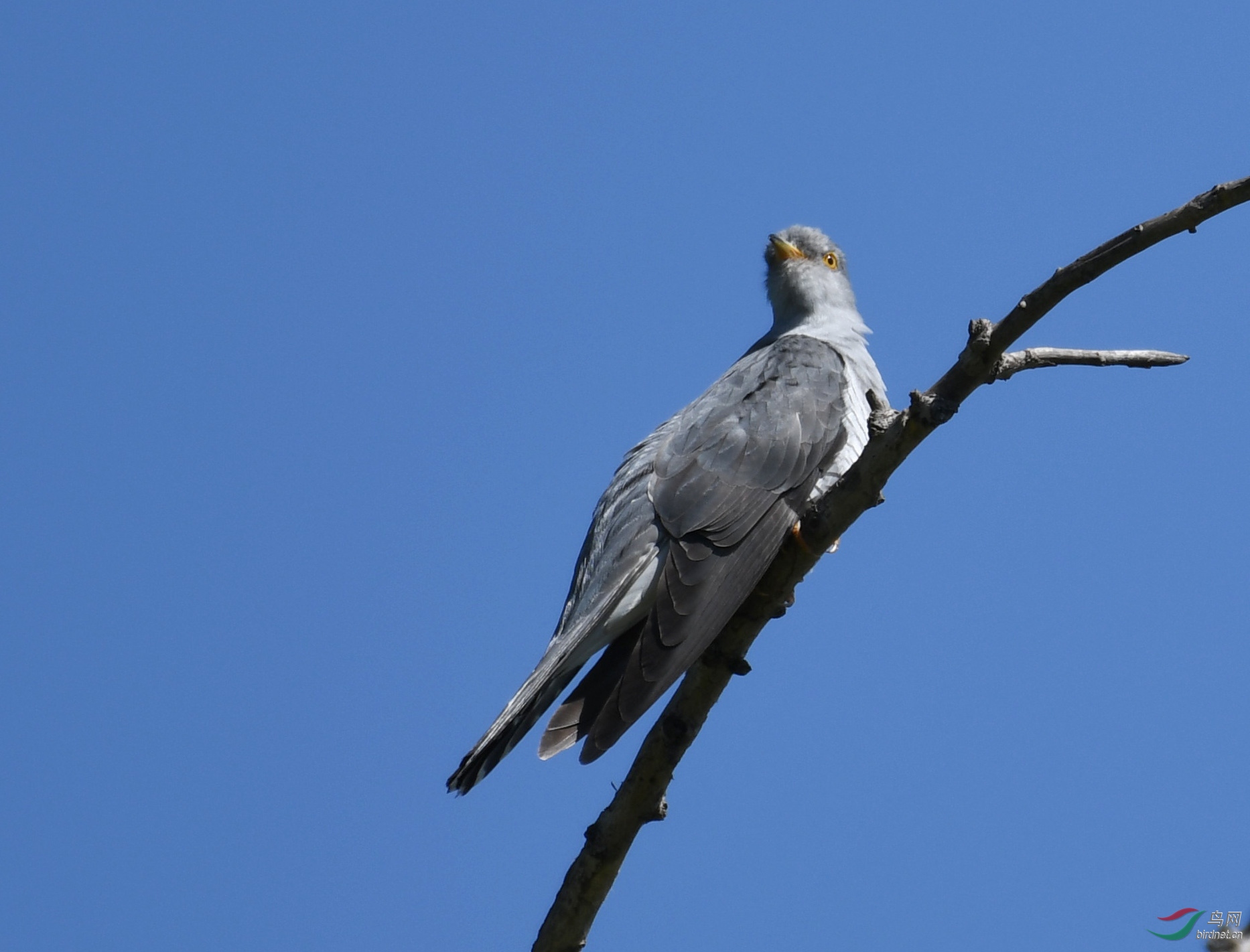 ������Ӱ 3783����.jpg