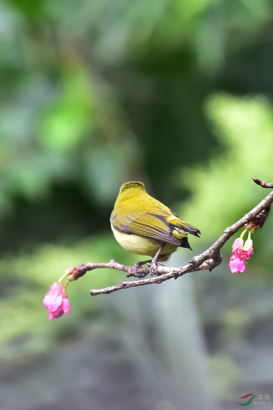 DSC_1194.JPG