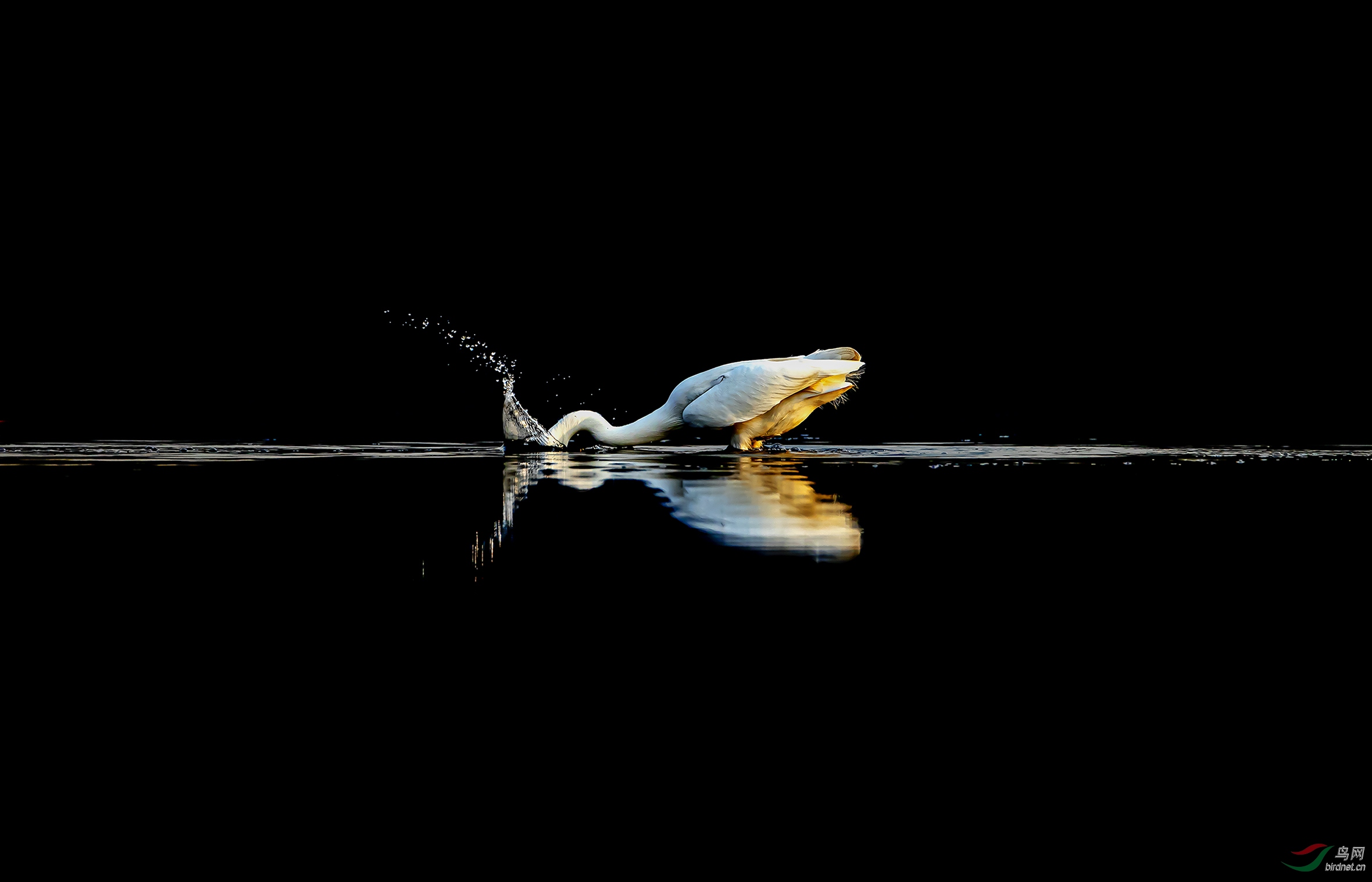 ���� ����