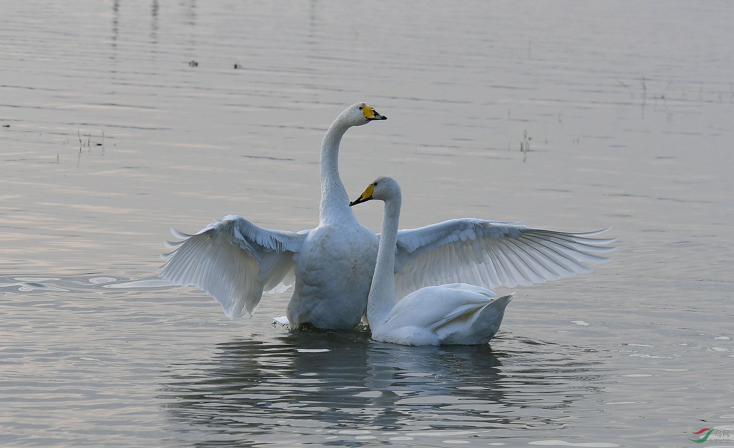 DSC_8115.JPG