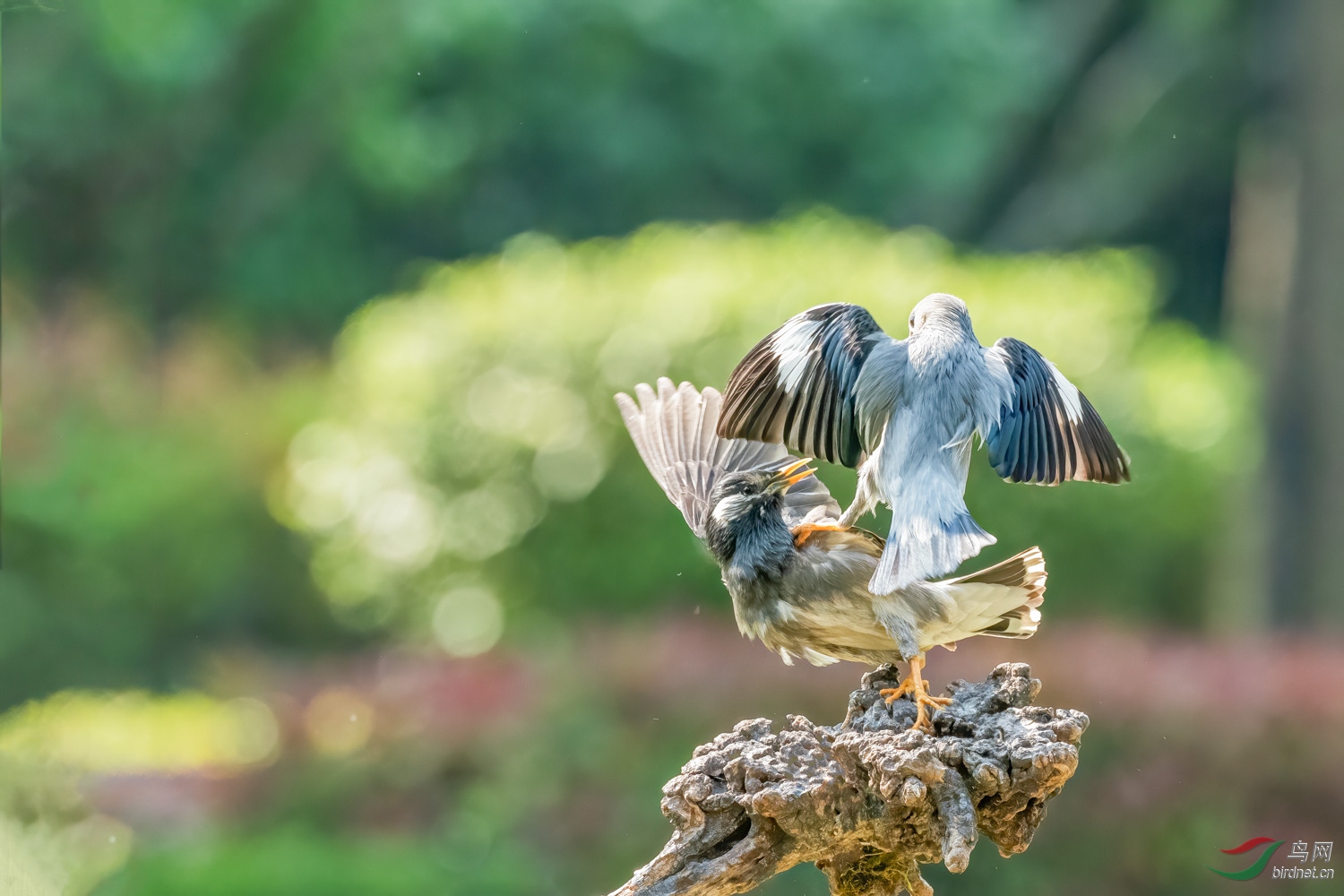 DSC_6910_1.jpg