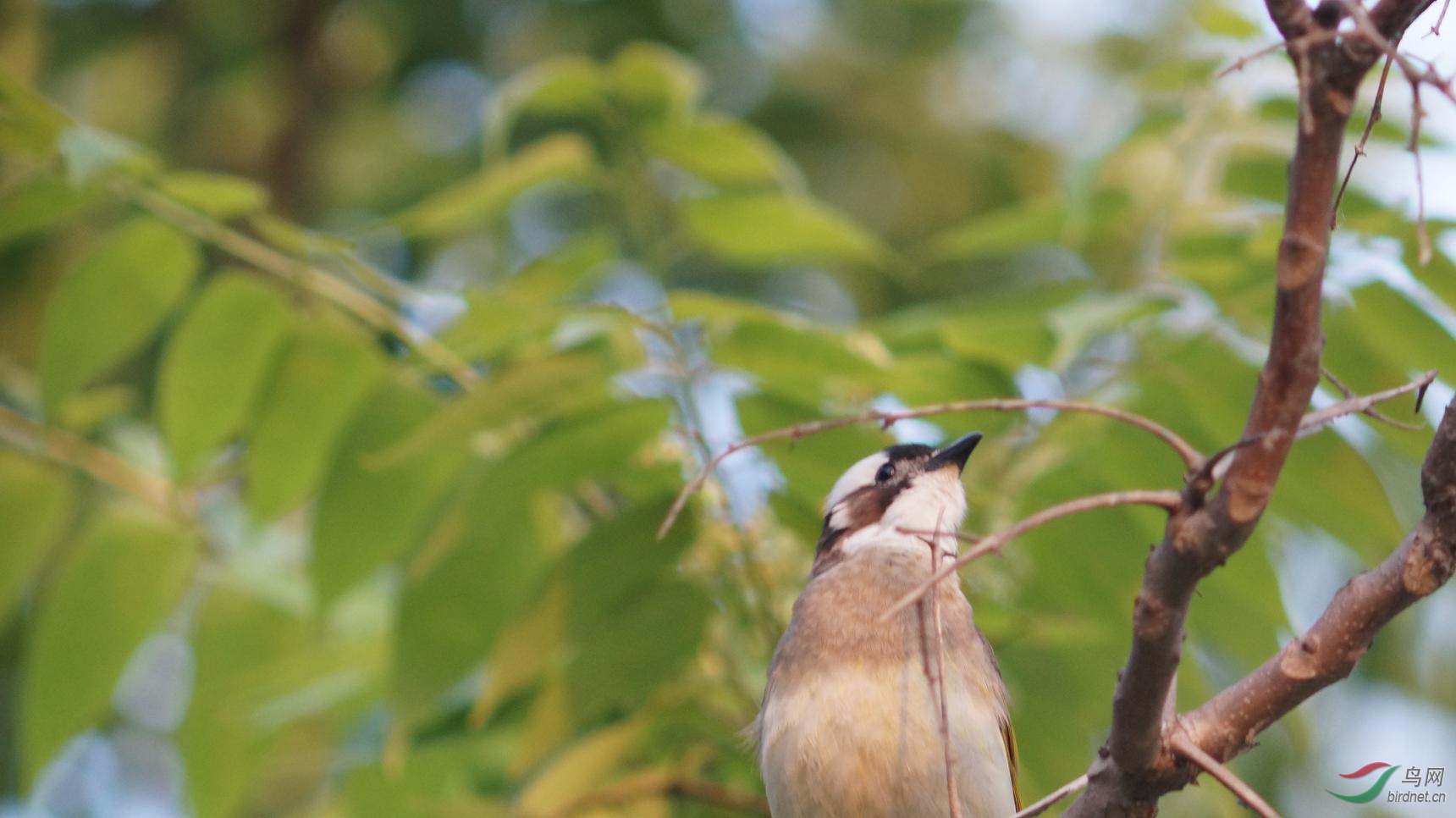 �����֪ʲô���������