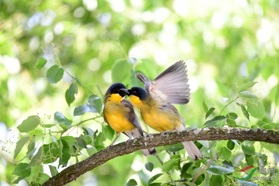 ����������Դ̫������Ŵ� ��������.�ƺ����� (18).JPG