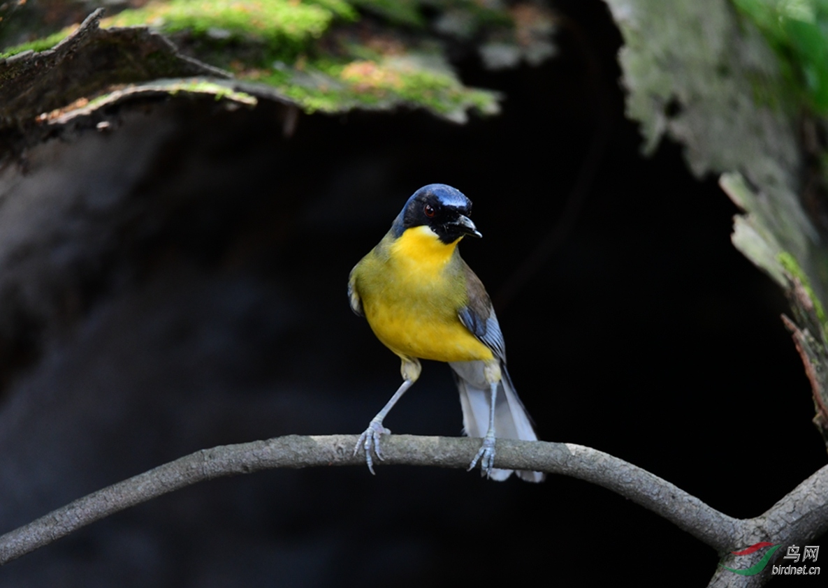 ����������Դ̫������Ŵ� ��������.�ƺ����� (32).JPG