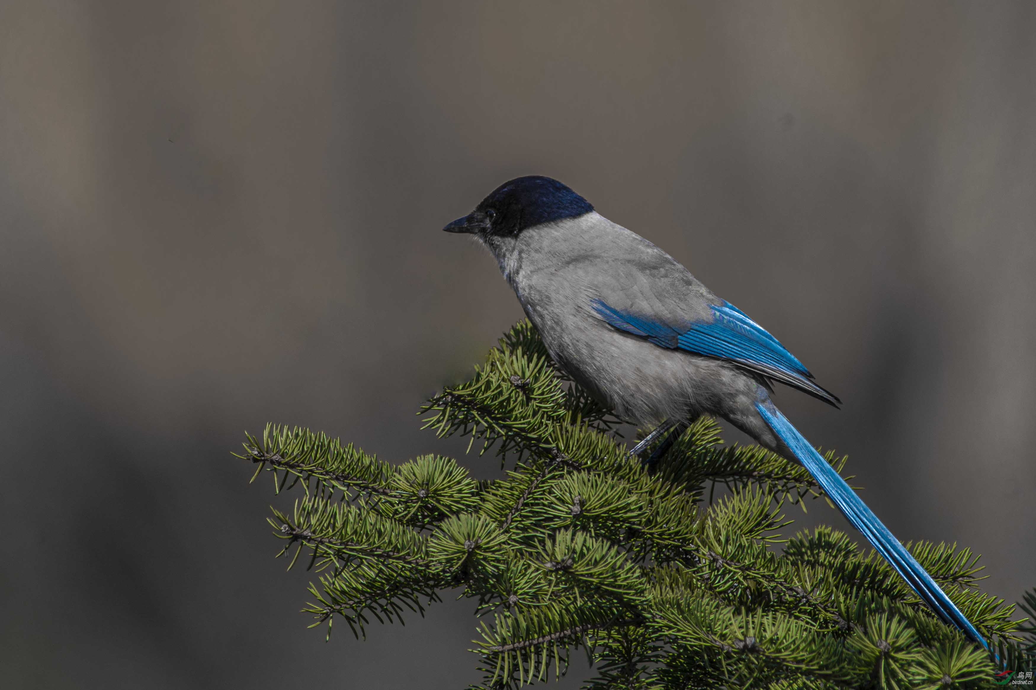 自力更生建家业第六集续3结束语