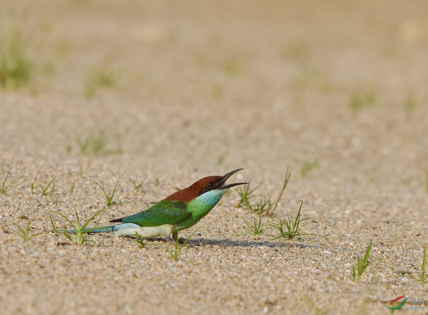 D8I_3122.jpg