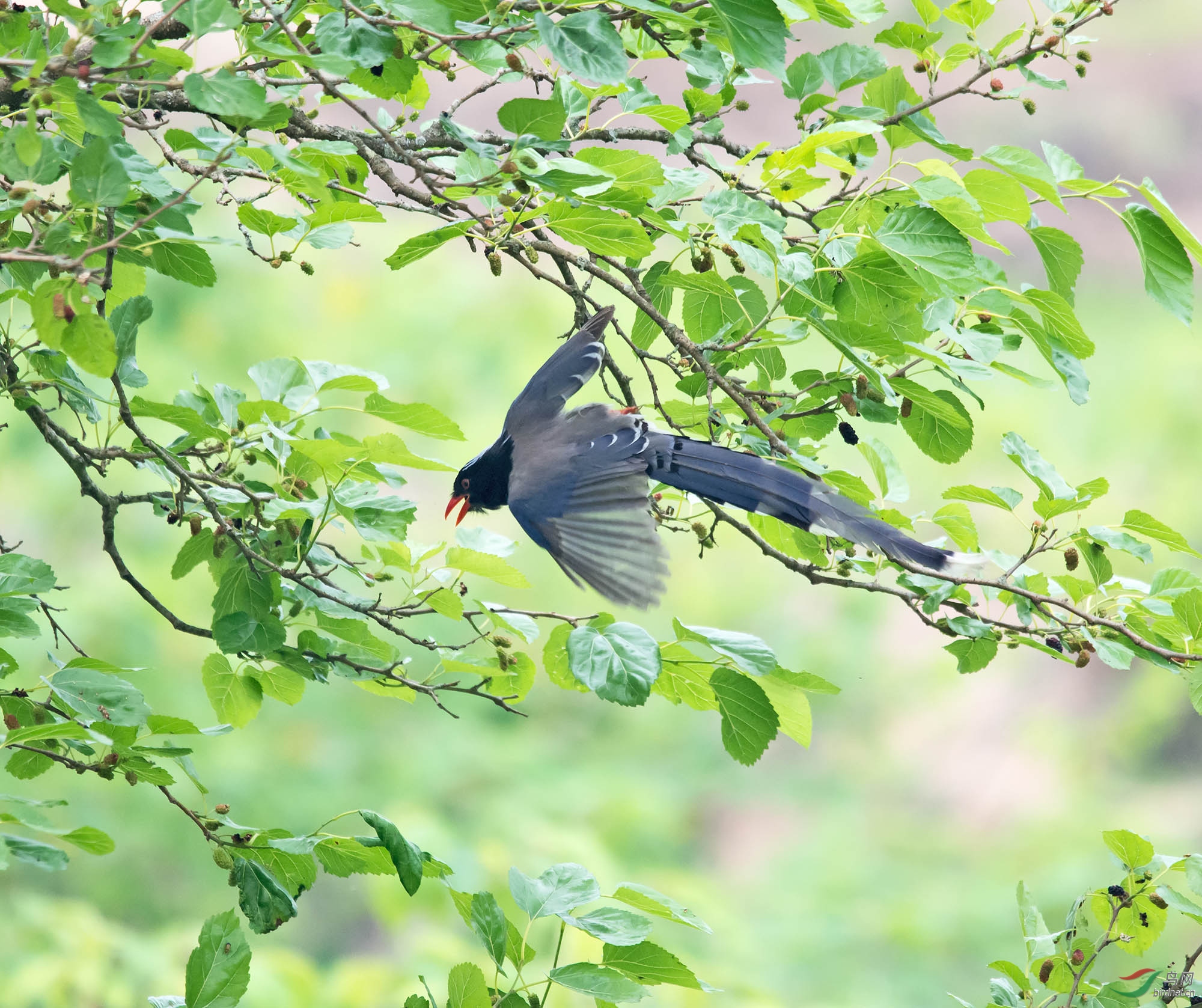 DSC_3713.jpg