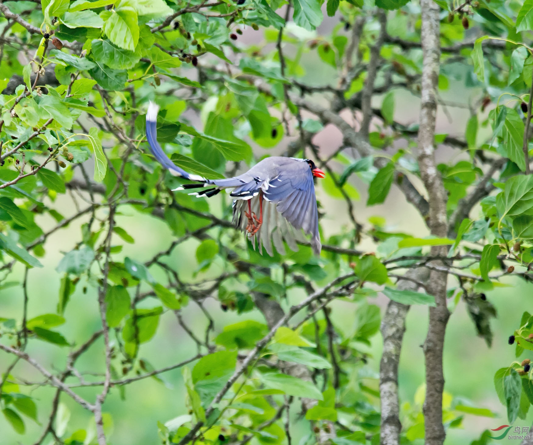 DSC_3943.jpg