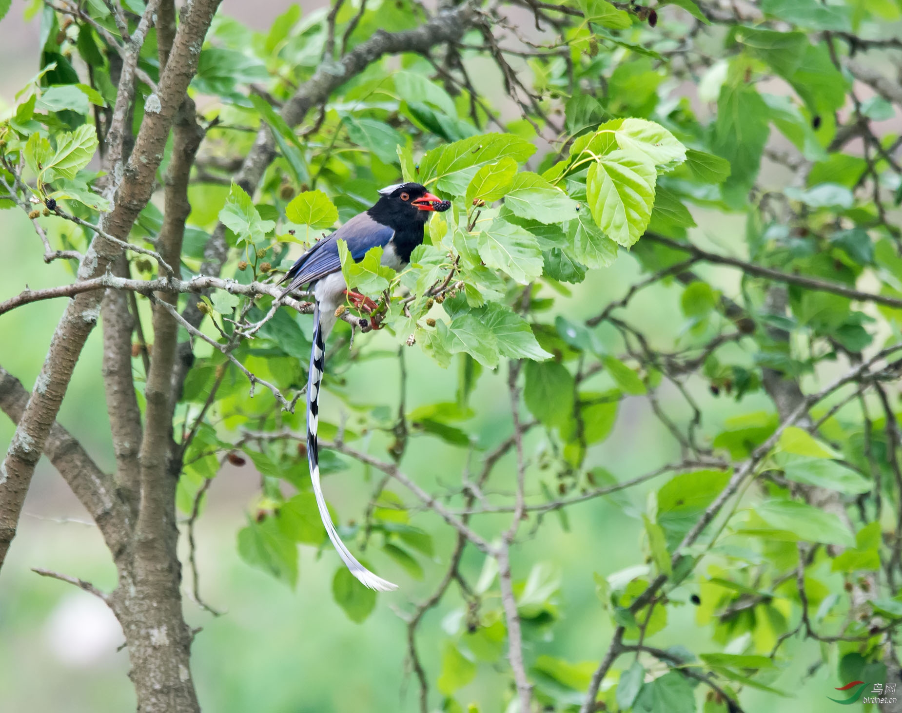 DSC_3941.jpg