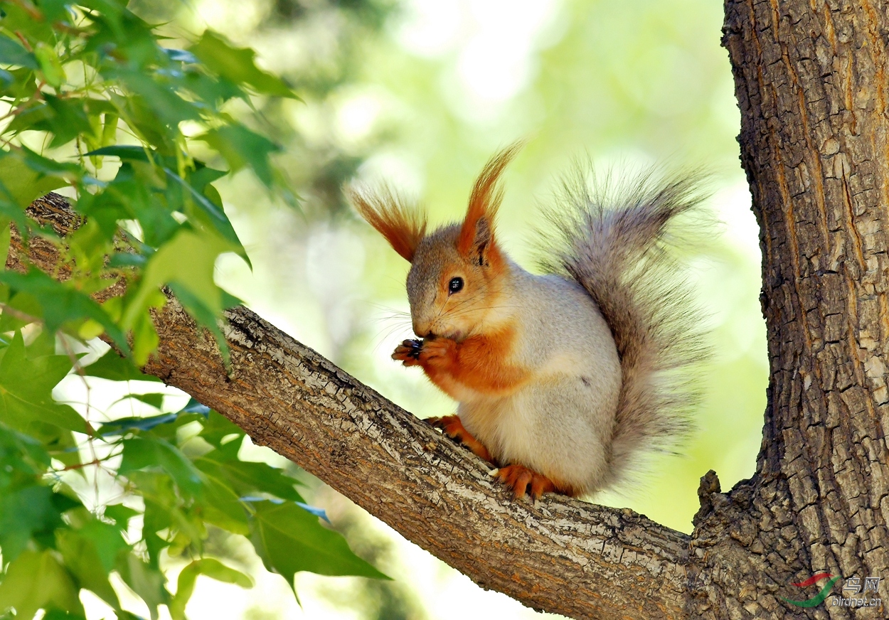 DSC_9667.jpg