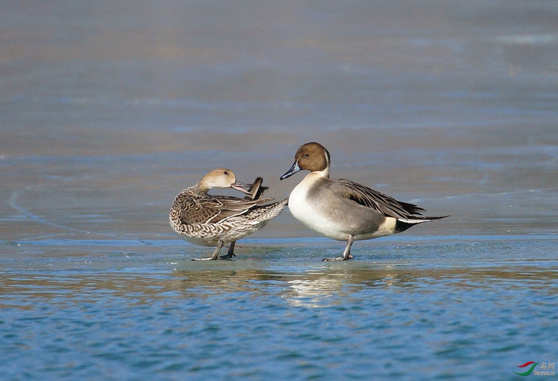 վ���ۣ��Ϻӿڣ������� ������500.jpg