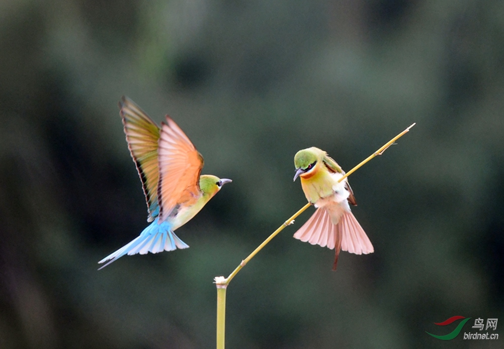 �����ڸ���Ȫ�ݽ����������δ�� �����仢 (2).JPG