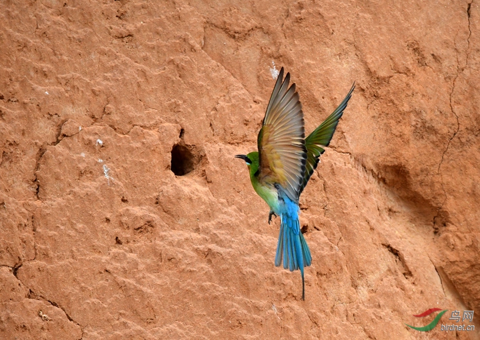 �����ڸ���Ȫ�ݽ����������δ�� �����仢 (4).JPG