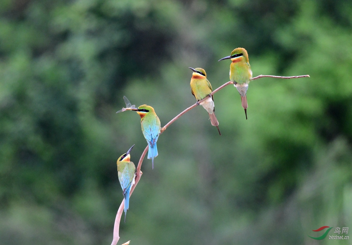 �����ڸ���Ȫ�ݽ����������δ�� �����仢 (3).JPG