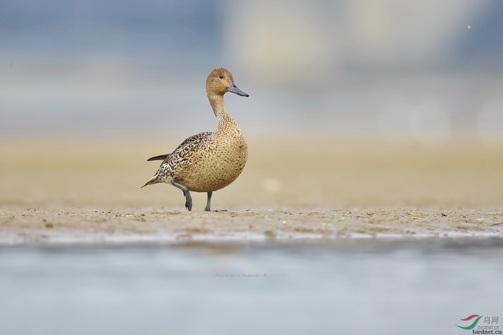 ��վ���ʵܣ��Ĵ�ʡ ������.jpg