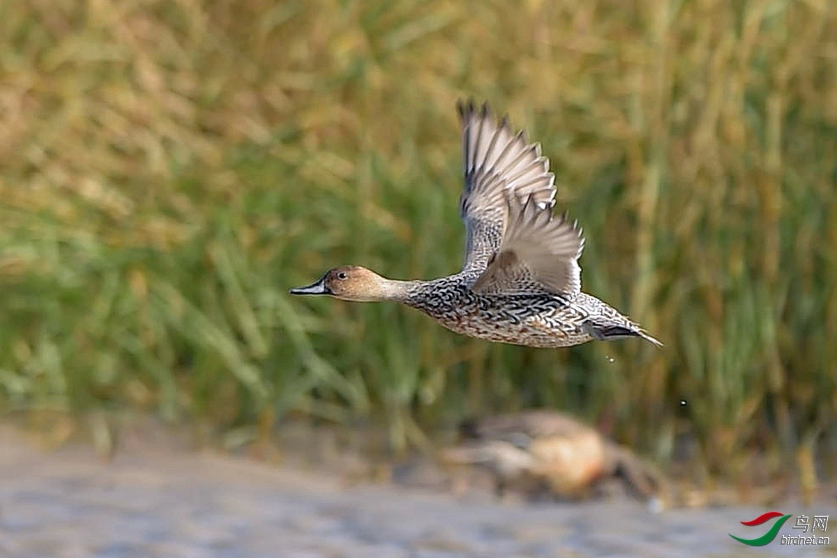 �Ʒɣ�����һ������ʡ ������  ��ͼ����.jpg