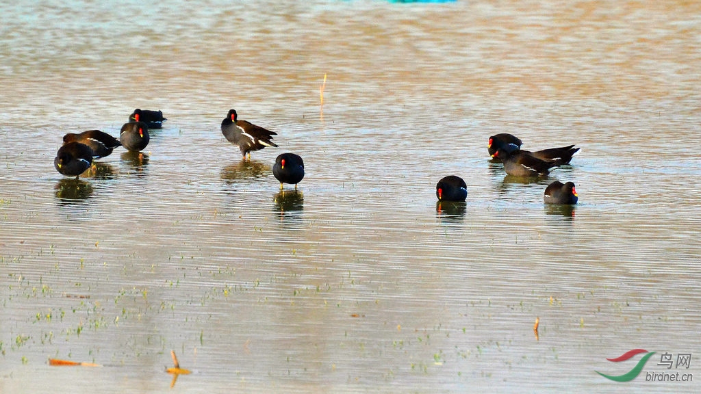 DSC_6132.JPG