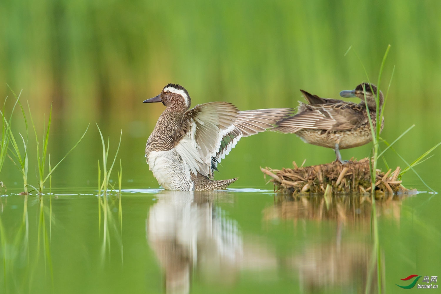 �����ȳᣨ0459���ͣ�������ʡ ���������.jpg