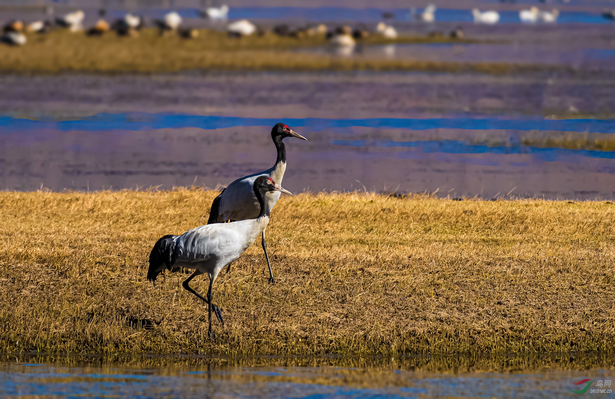 DSC_3324.jpg