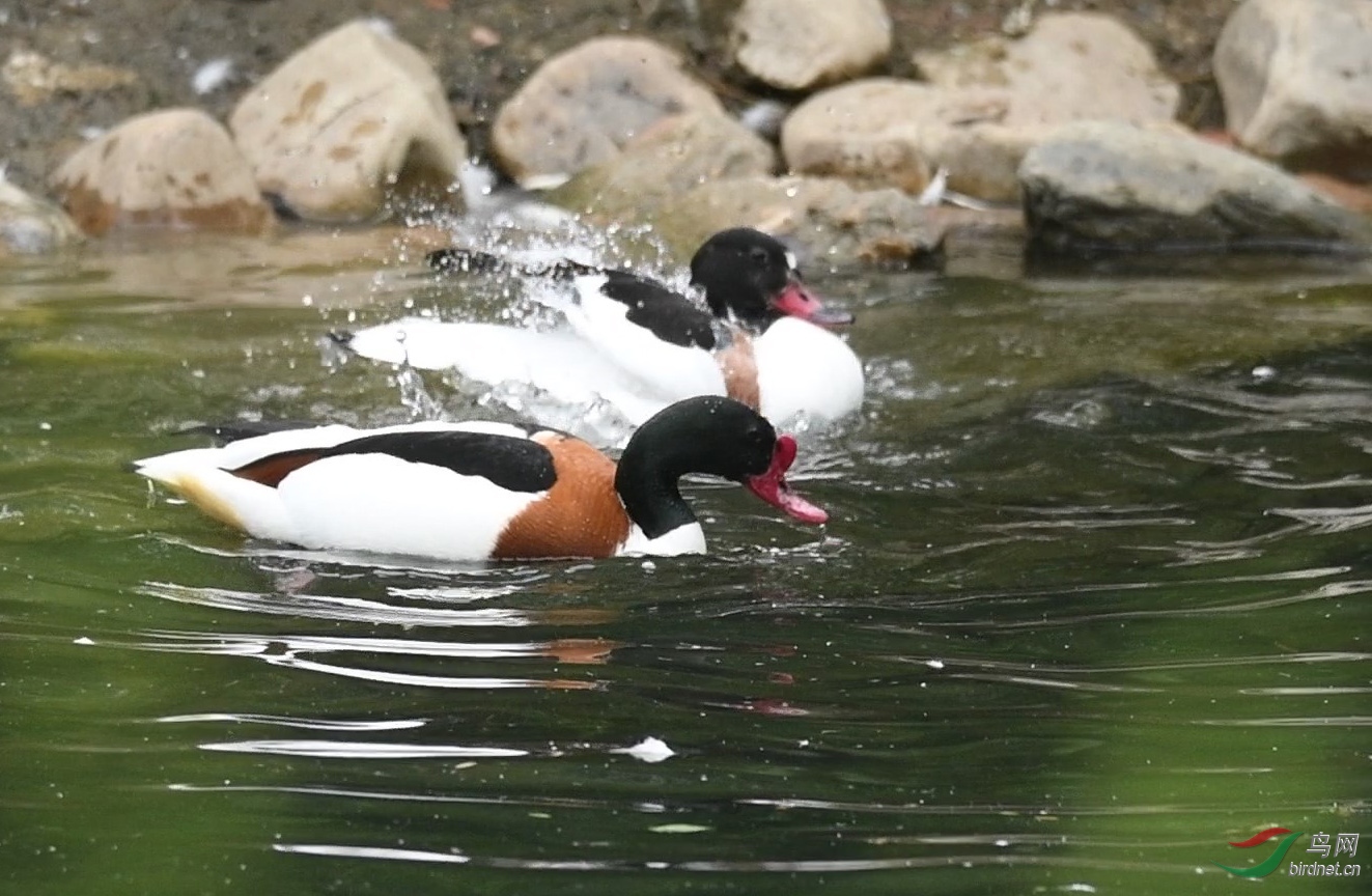 DSC_6626 00_02_27-00_03_37_Moment-02-01.jpg