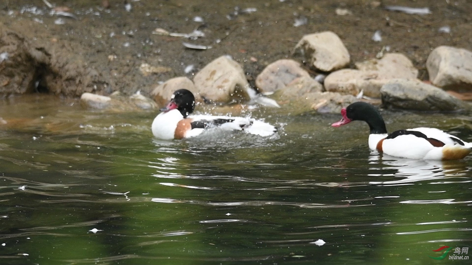 DSC_6626 00_02_27-00_03_37_Moment-03-02.jpg