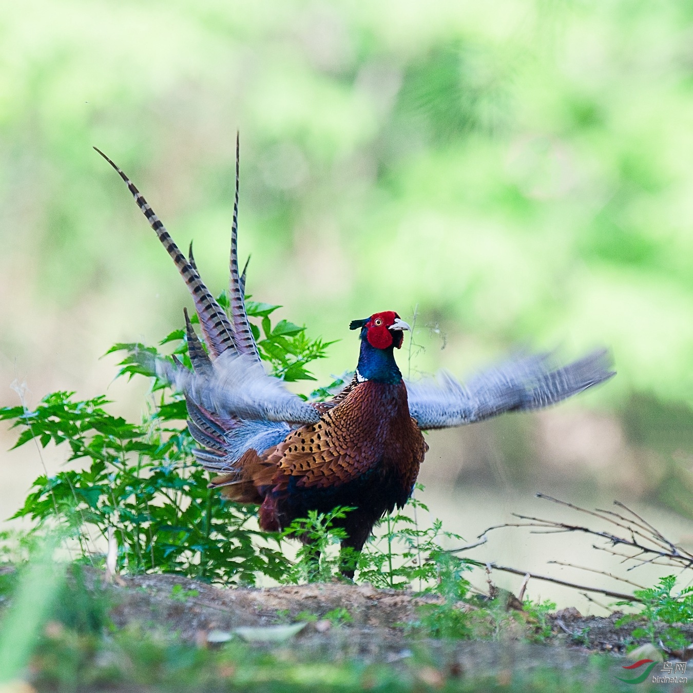 XCG_7670 - ����.jpg