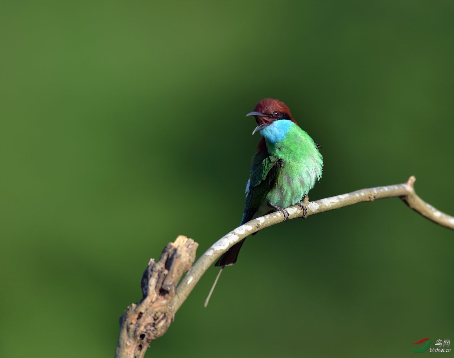 D8I_2054.jpg