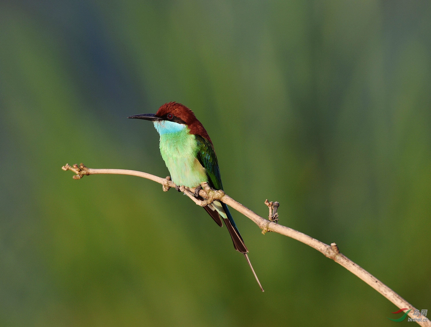 D8I_2544.jpg