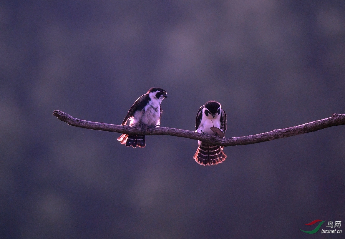 ����������Դ��������С�� (14).JPG