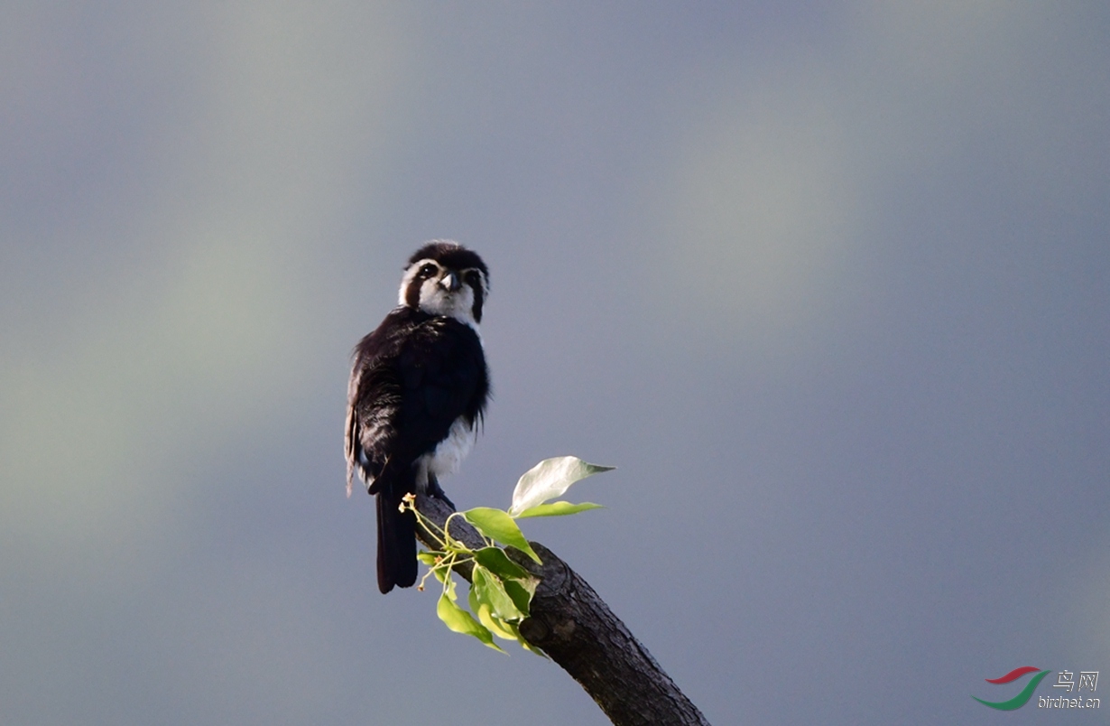 �����ڽ���������Դ������һ�����С�� (40).JPG