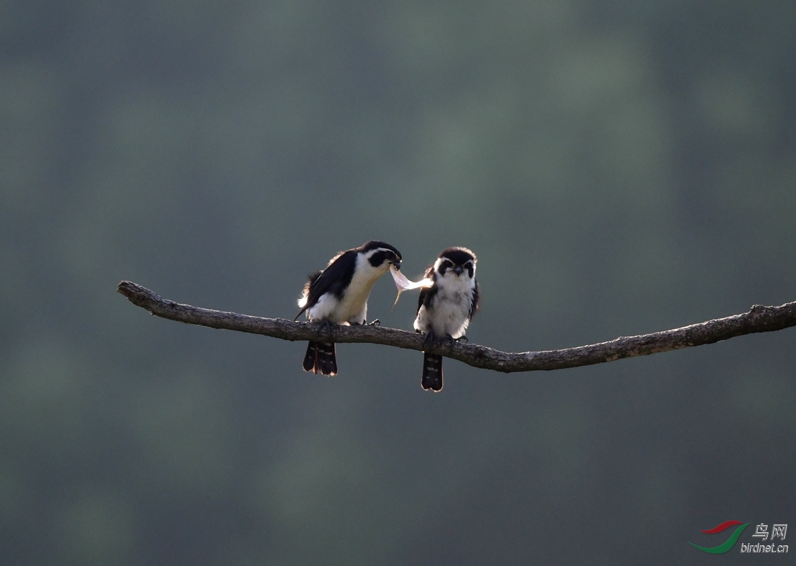 ����������Դ��������С�� (26).JPG