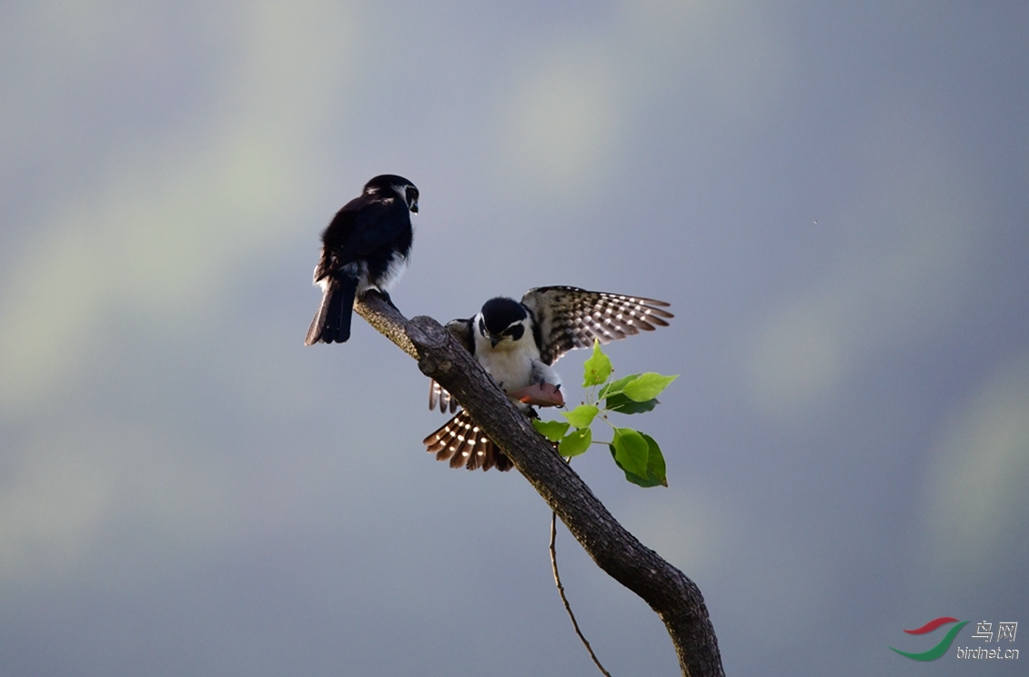 ����������Դ��������С�� (34).JPG