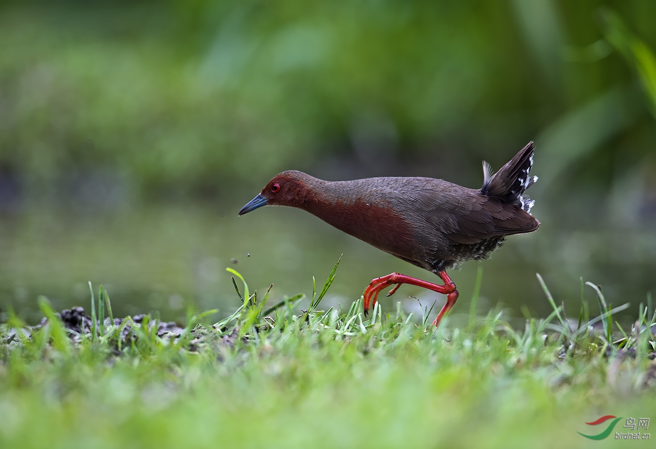 DSC_9149-0-0.jpg