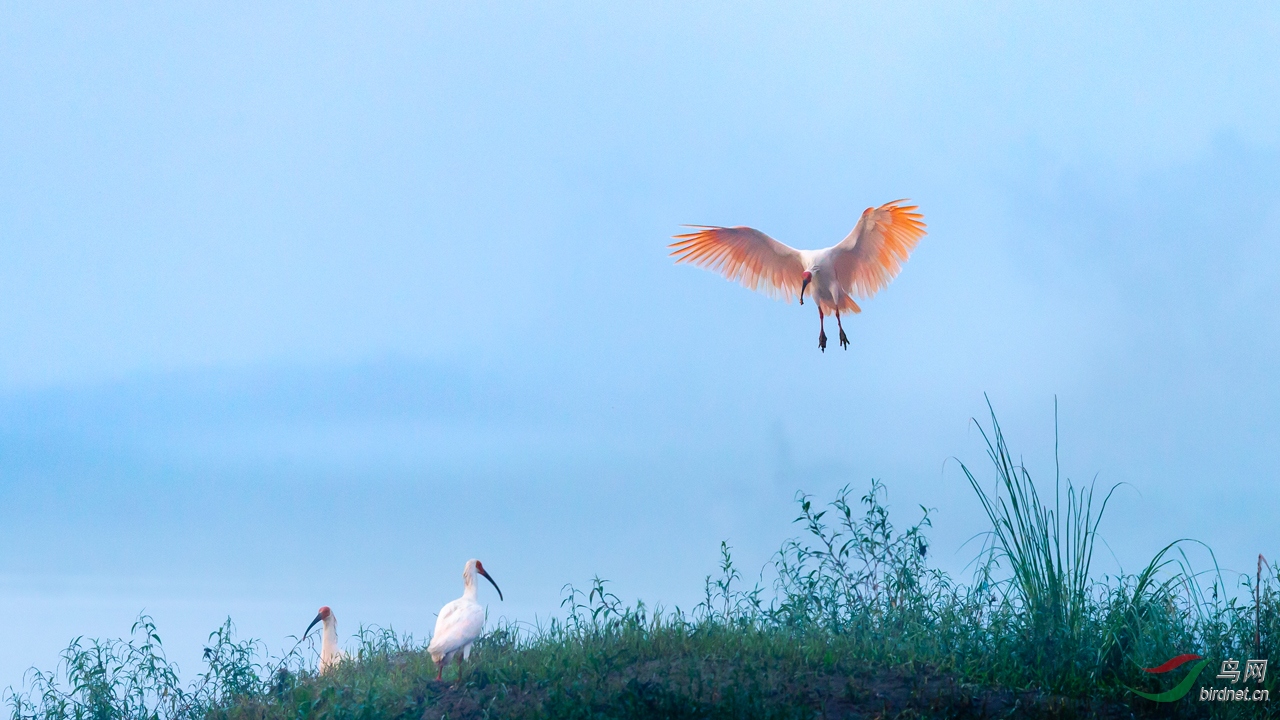 35С.jpg