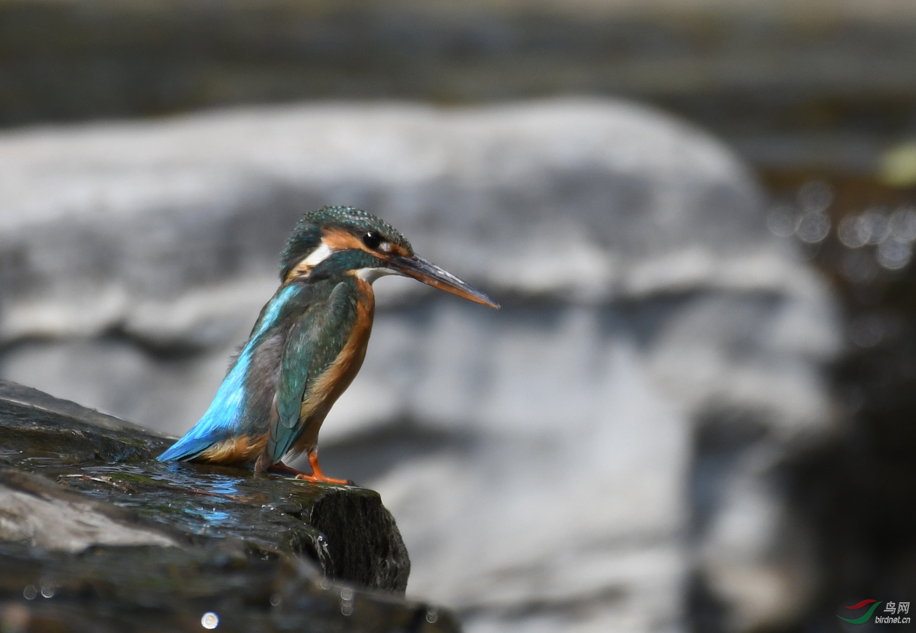 ������Ӱ 5153����.jpg