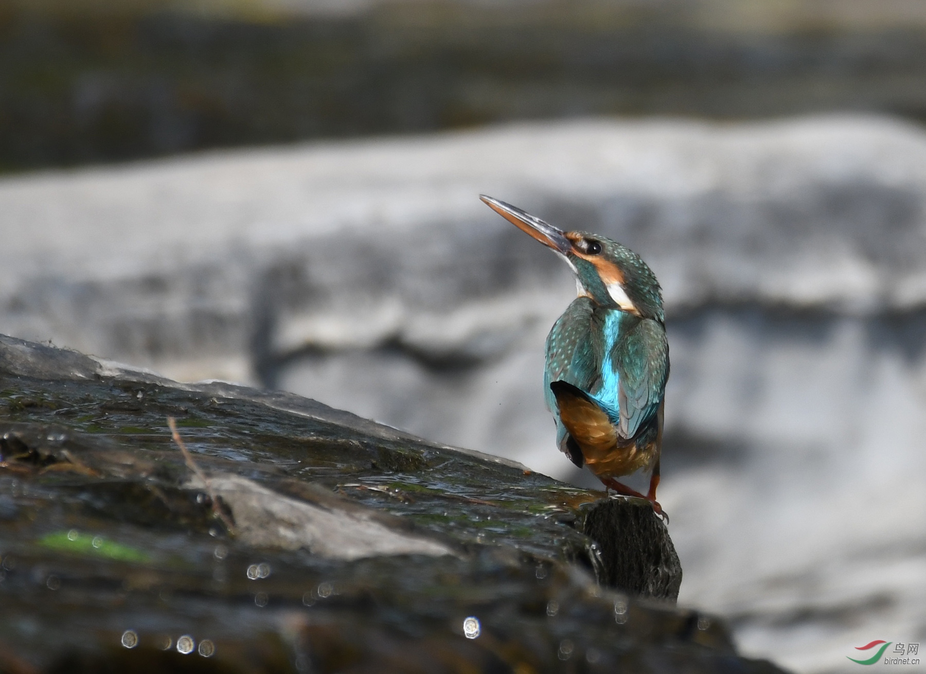 ������Ӱ 5346����.jpg