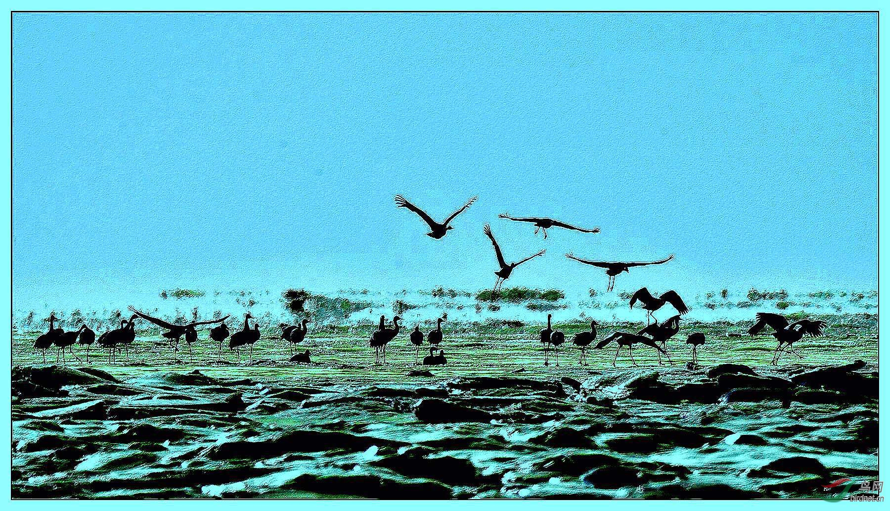 LYK_9363_���� ����_����_����.jpg