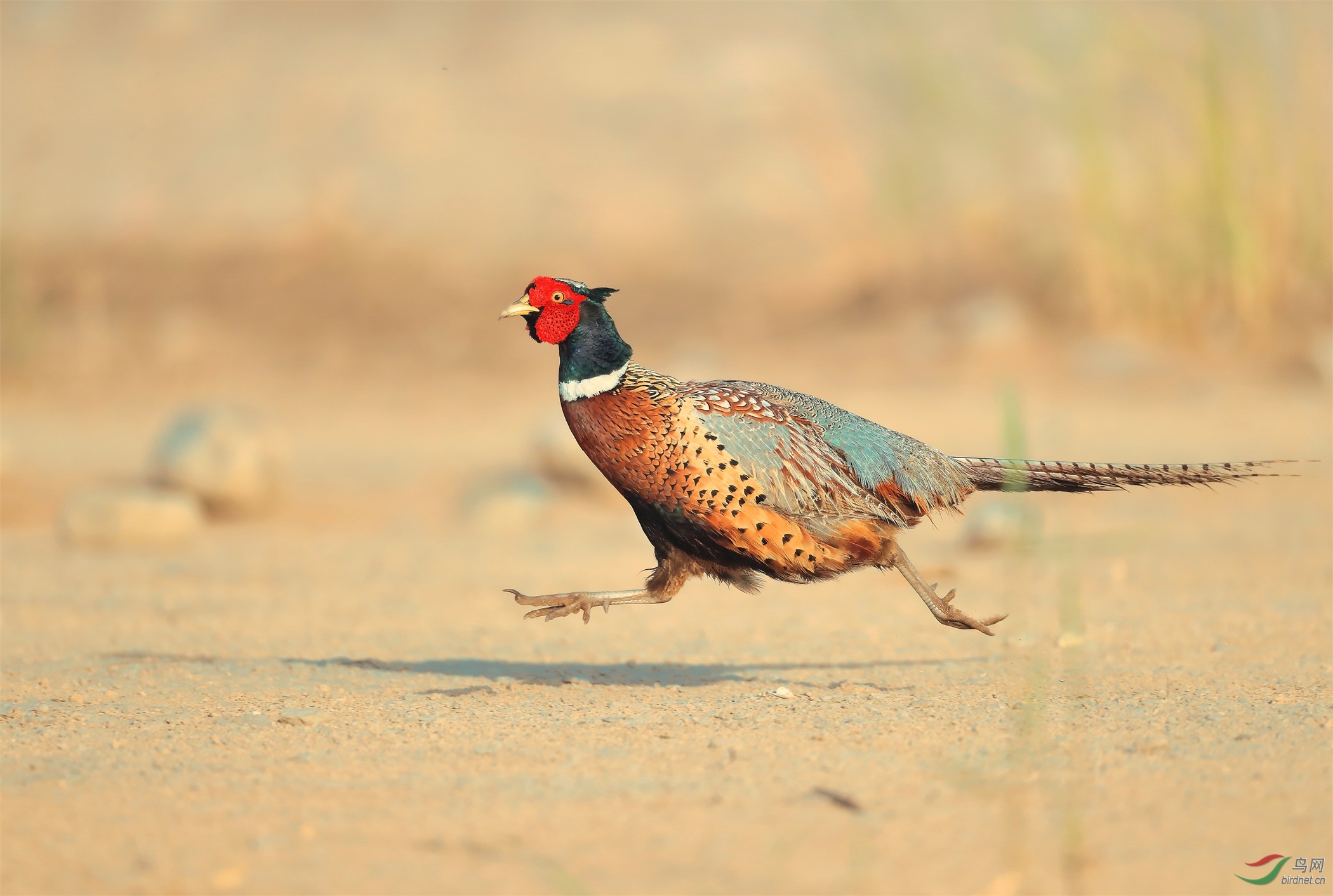 4 - ����.JPG