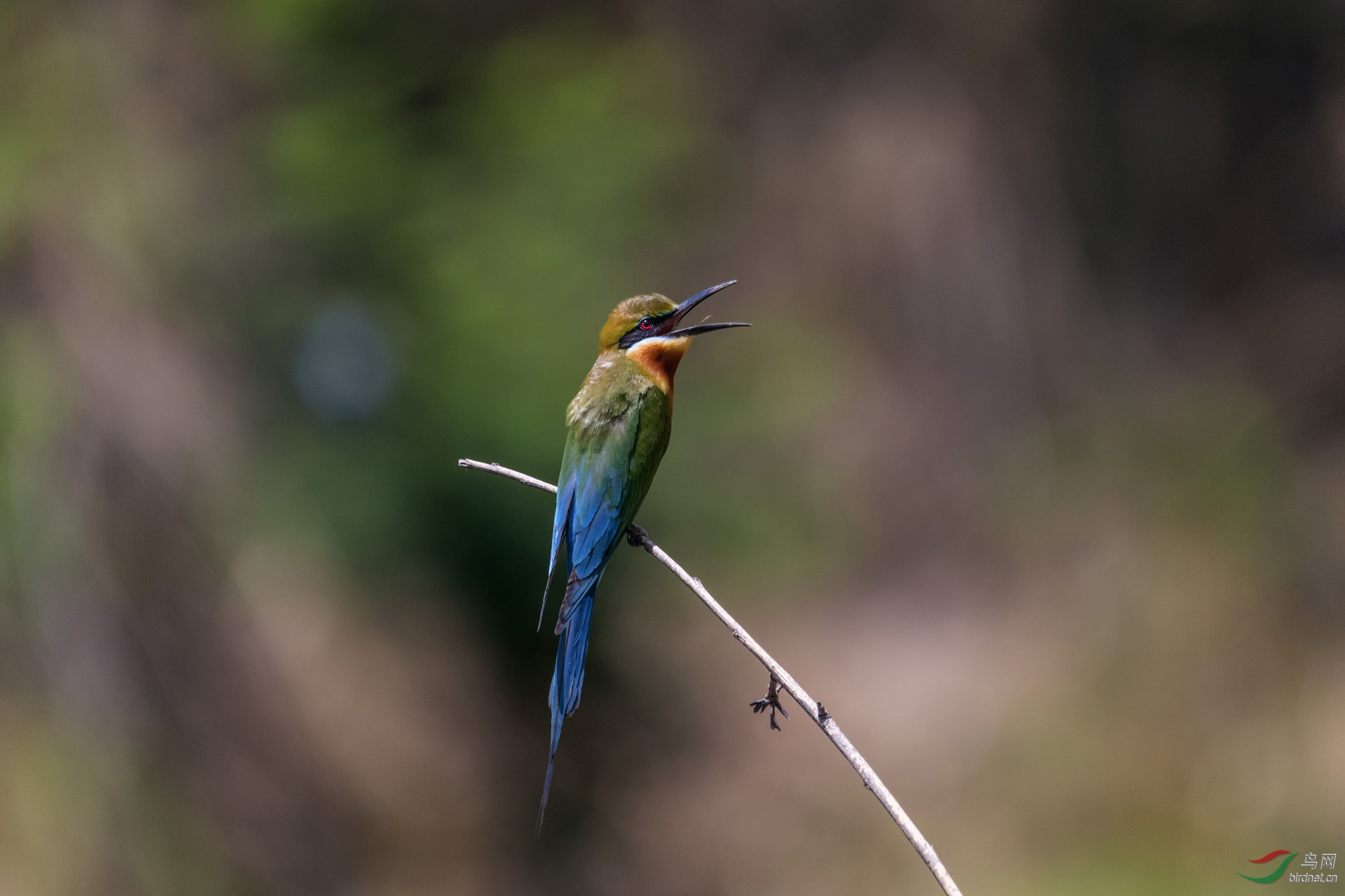 ��_AUU0198������(20.5.14)-1.jpg